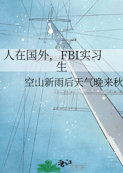 人在国外，FBI实习生