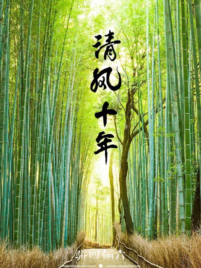 清风十年