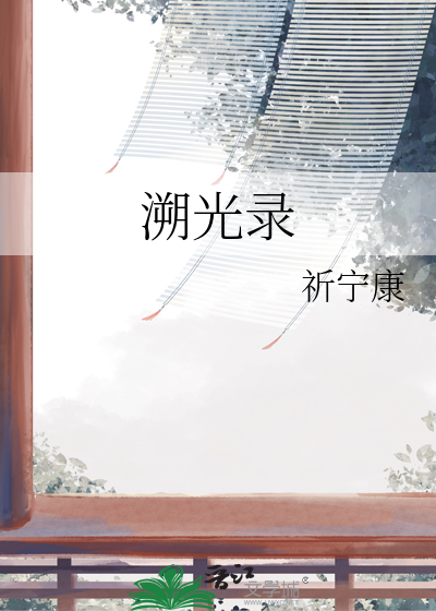 溯光录
